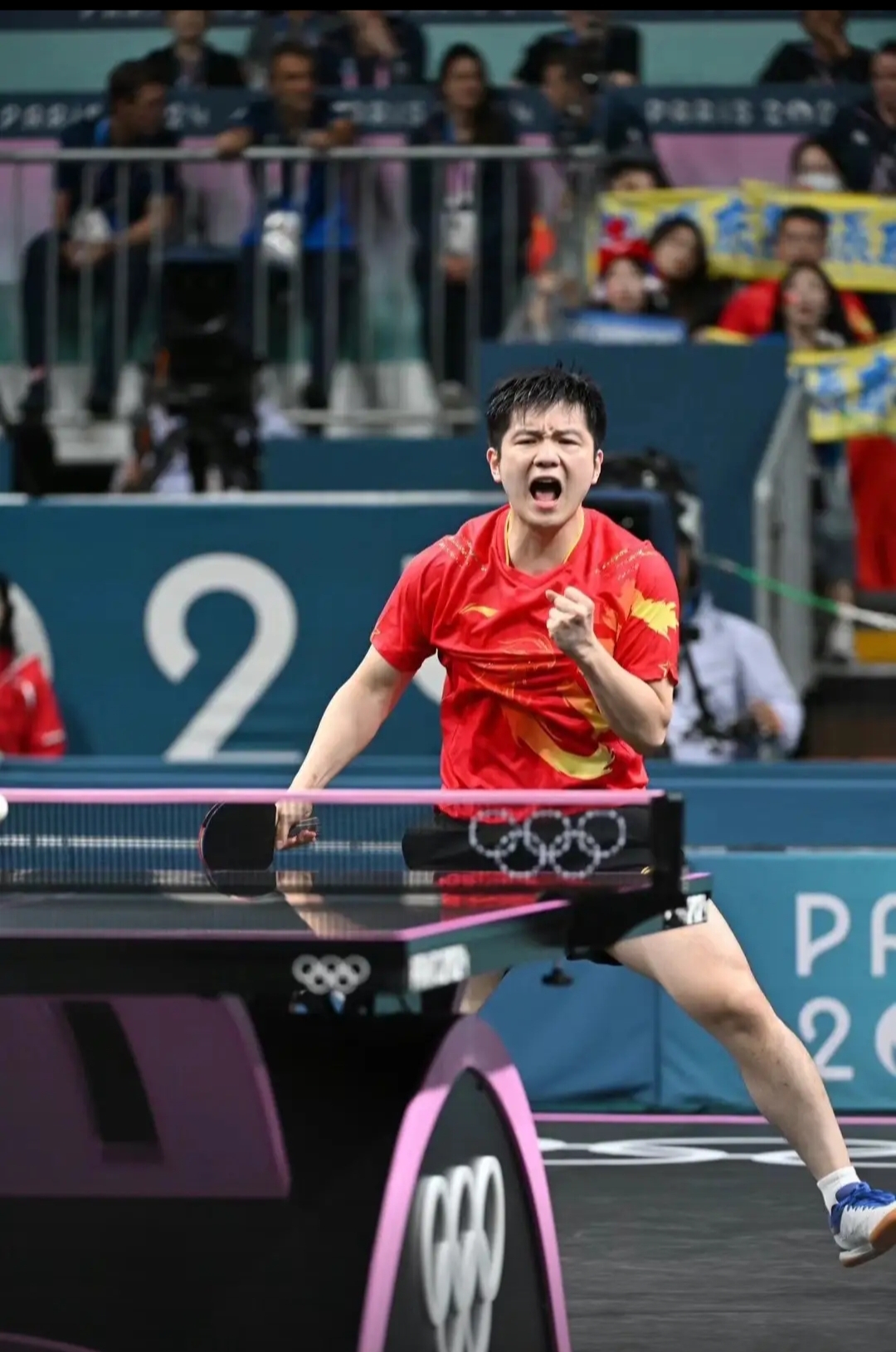 波兰队力克奥地利队,樊振东高光表现 波兰队力克奥地利队,樊振东高光表现