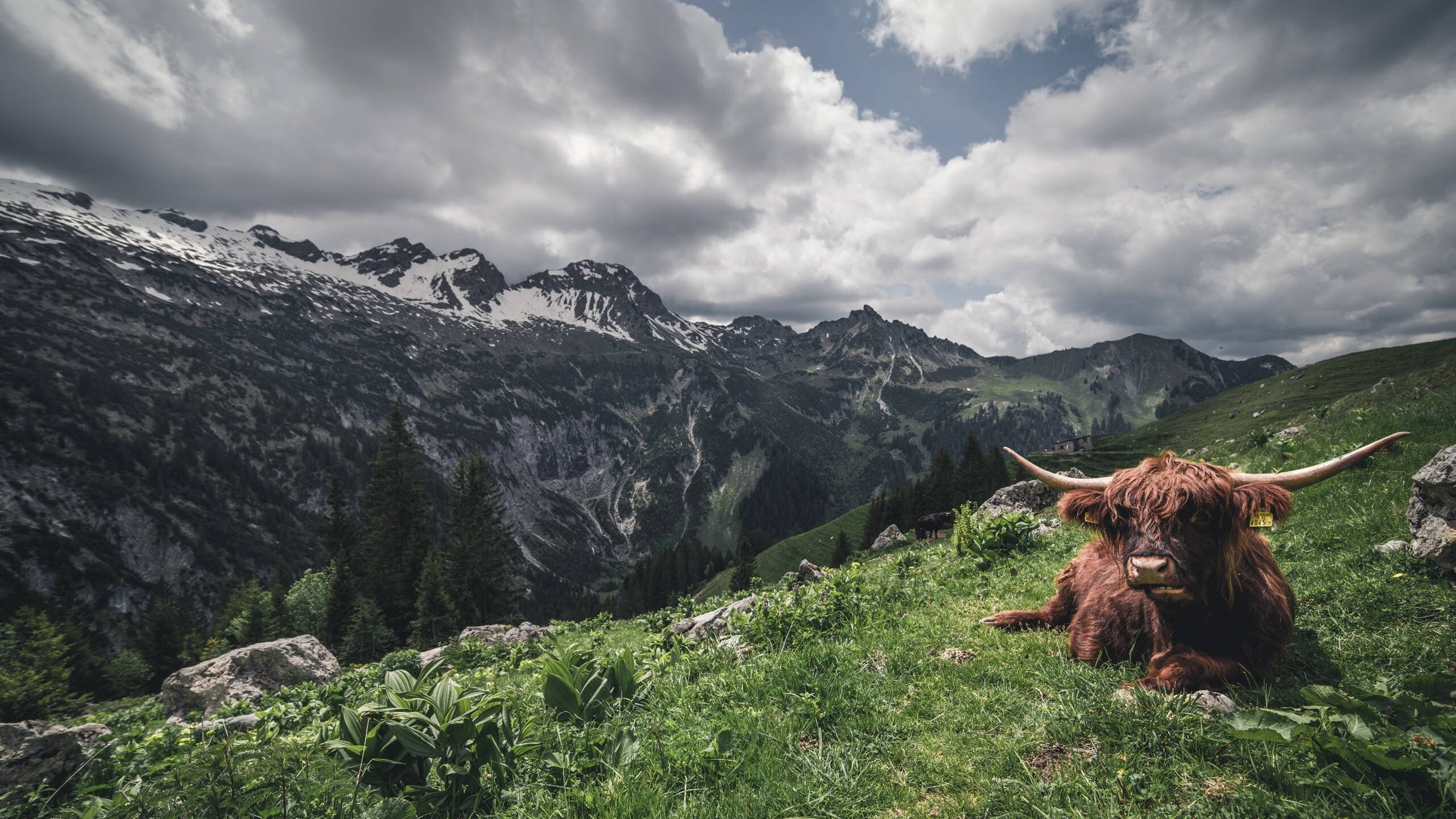 快船绝境重生！文班亚马17+9+5定乾坤，联手哈登导演22分逆转史诗