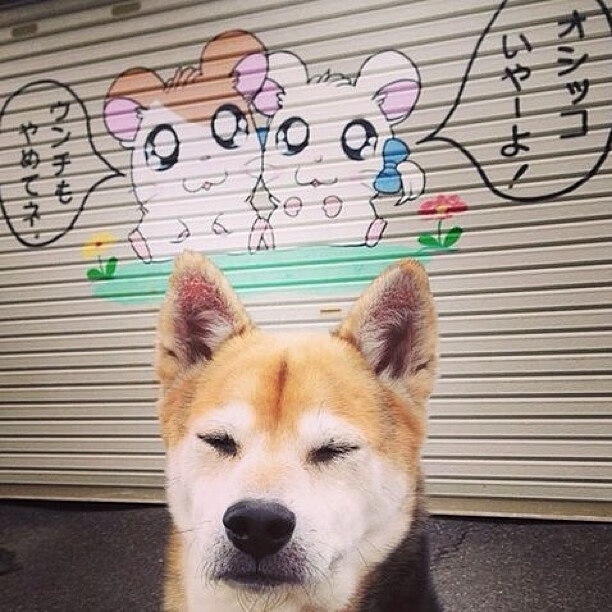 当NBA抢七夜的肾上腺素,遇见绿茵场上燃烧的姆巴佩