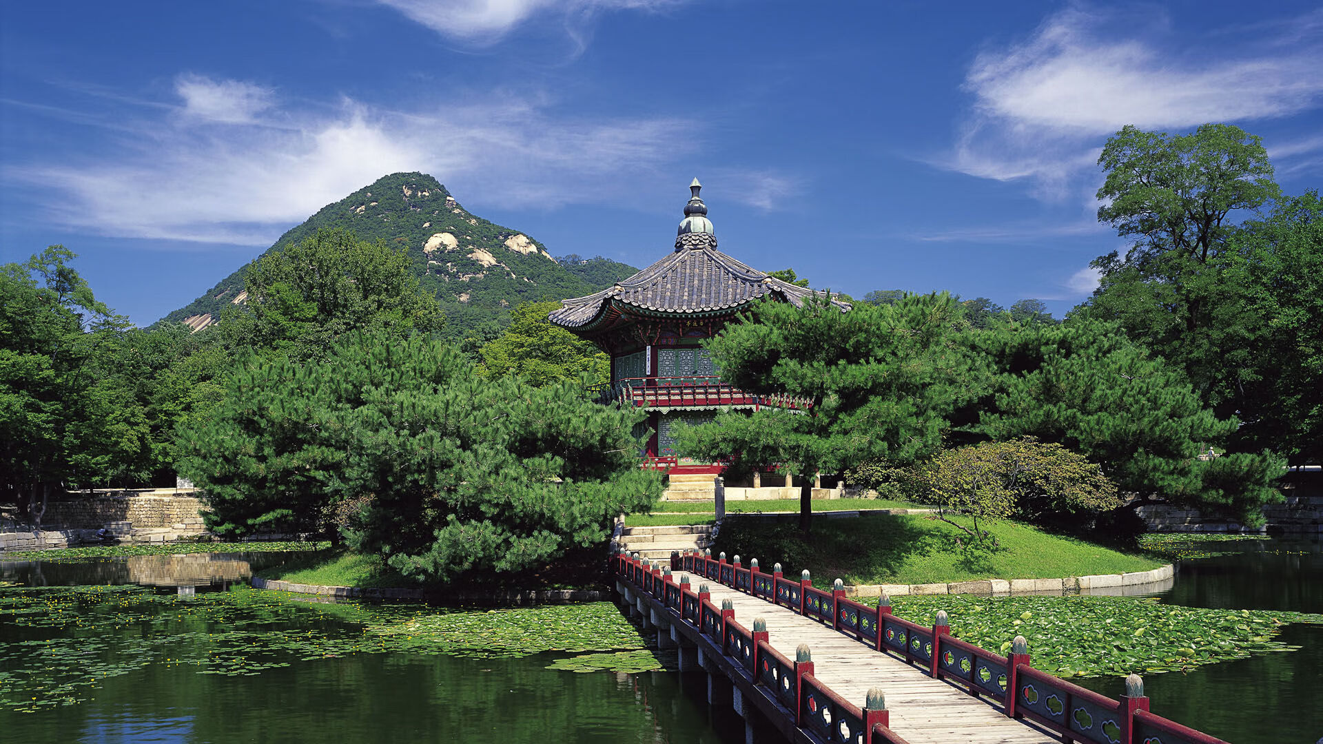 福登的攻防转换艺术,爱尔兰对阵马里中的核心角色