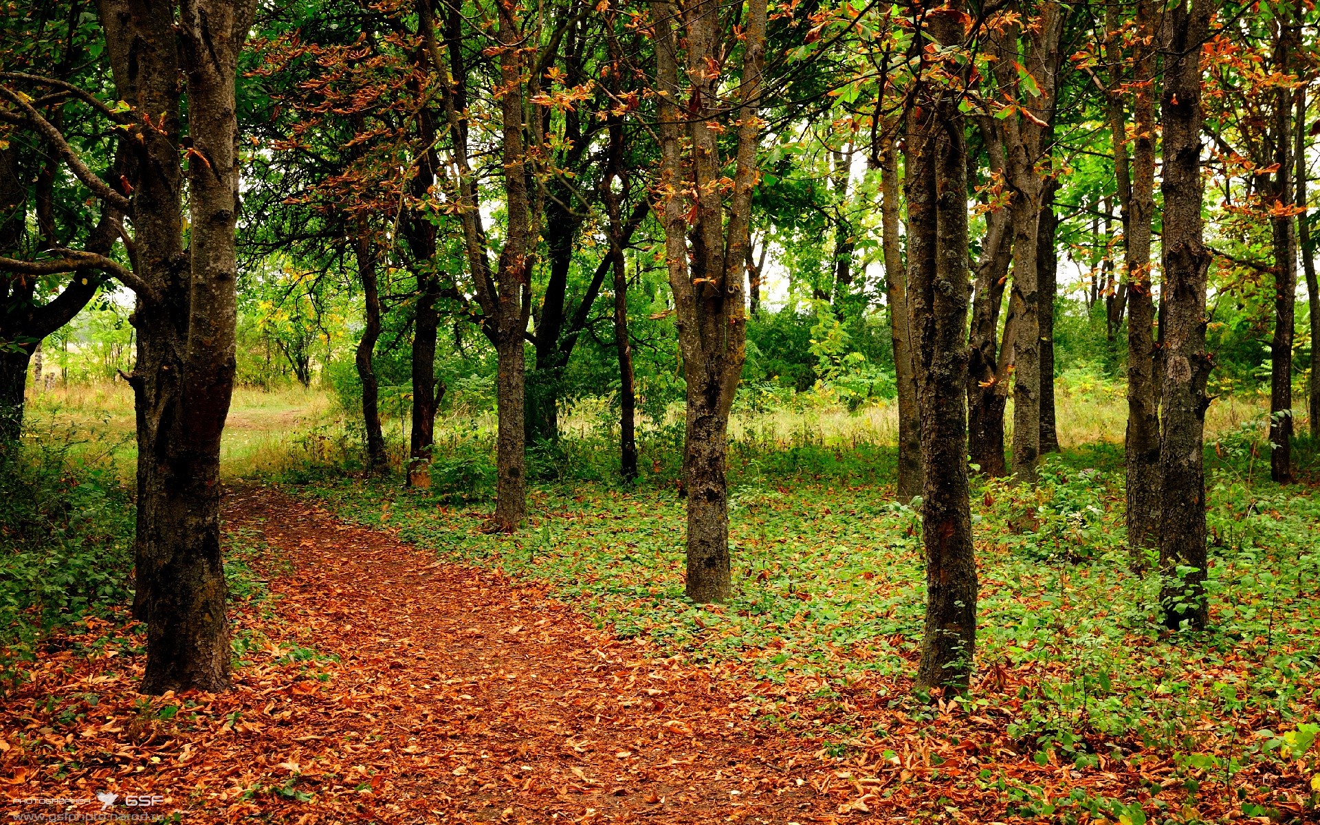 链式防守的艺术,从意甲焦点战到浙江队锁死鹈鹕的战术密码