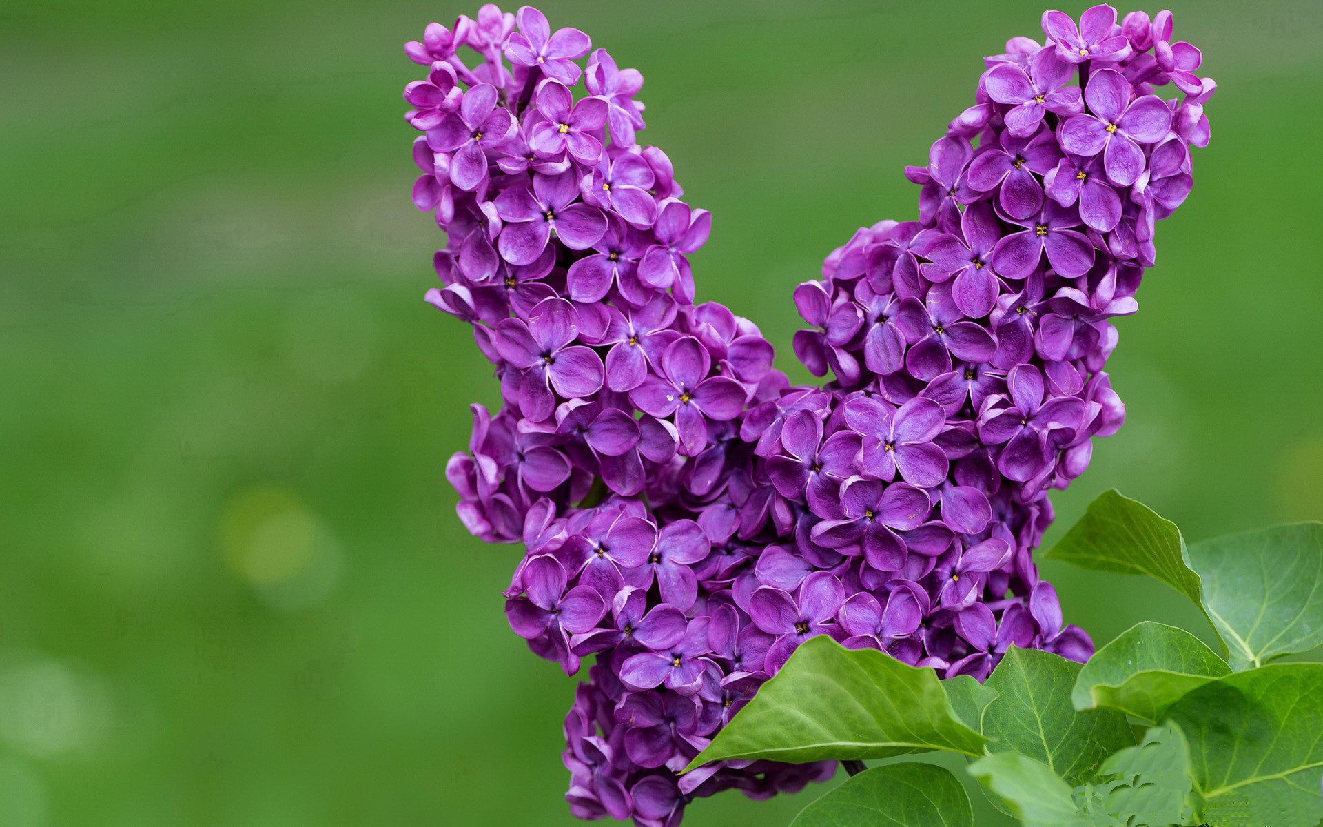命运阶梯,从破茧到登顶
