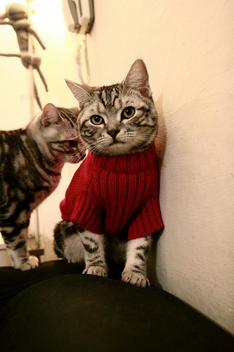 唯一性的战争,塞维利亚如何用奥运周期思维冲垮国际米兰