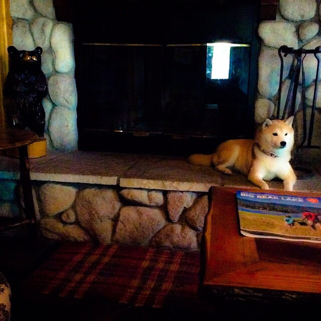 年度焦点之战,布伦森的硬仗审判之夜