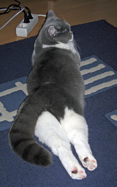 一球封神，马丁内利惊世一击背后的千年孤独