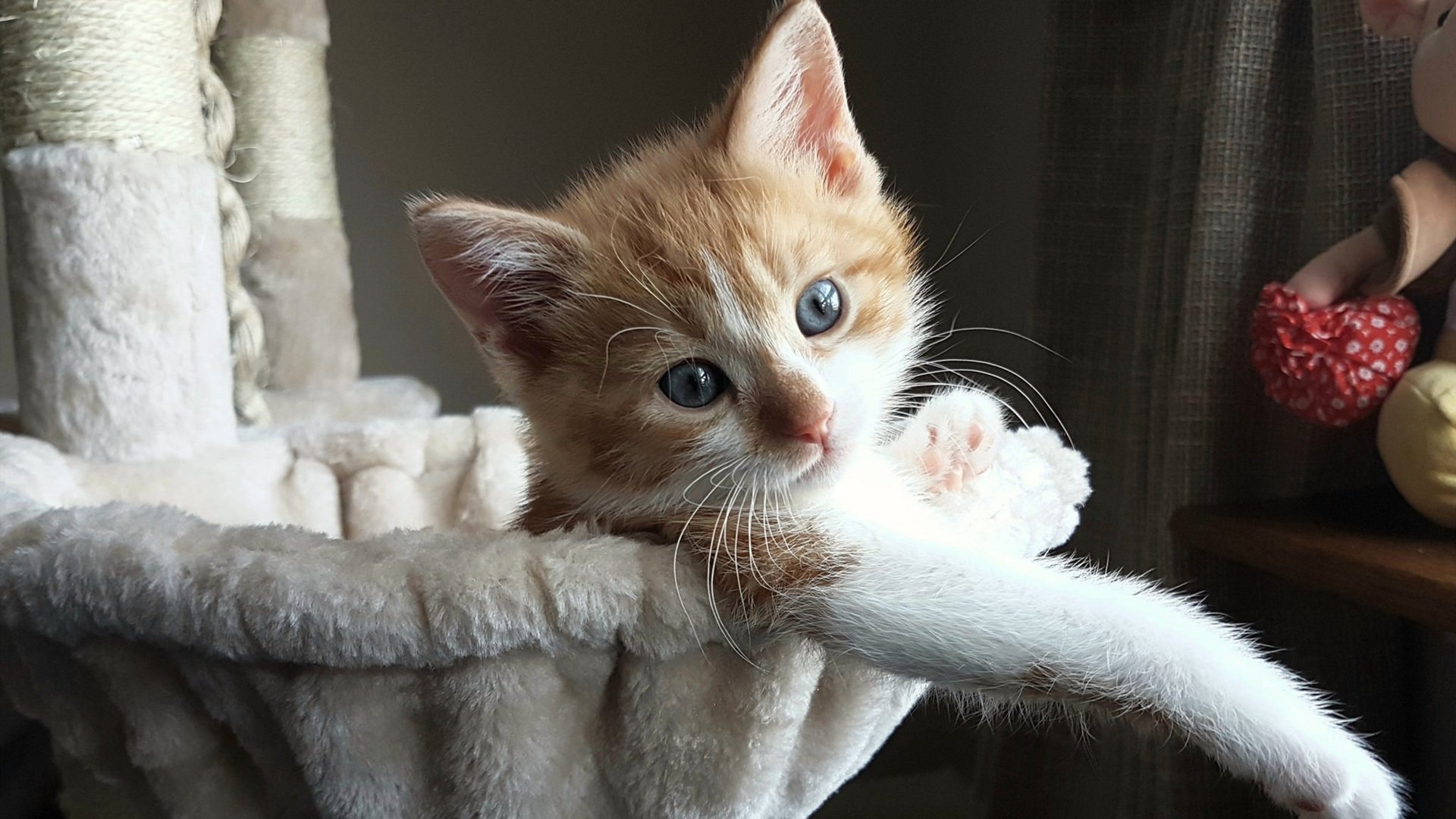 钢铁锋线筑起叹息之墙，英格拉姆奥运前关键战宣告王者归来