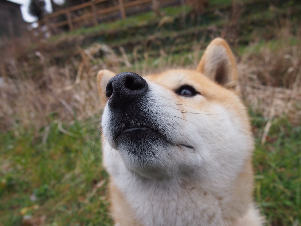 从安第斯山到欧冠舞台，当稳成为一种战术霸权 智利战术板与金玟哉的钢铁防线启示录