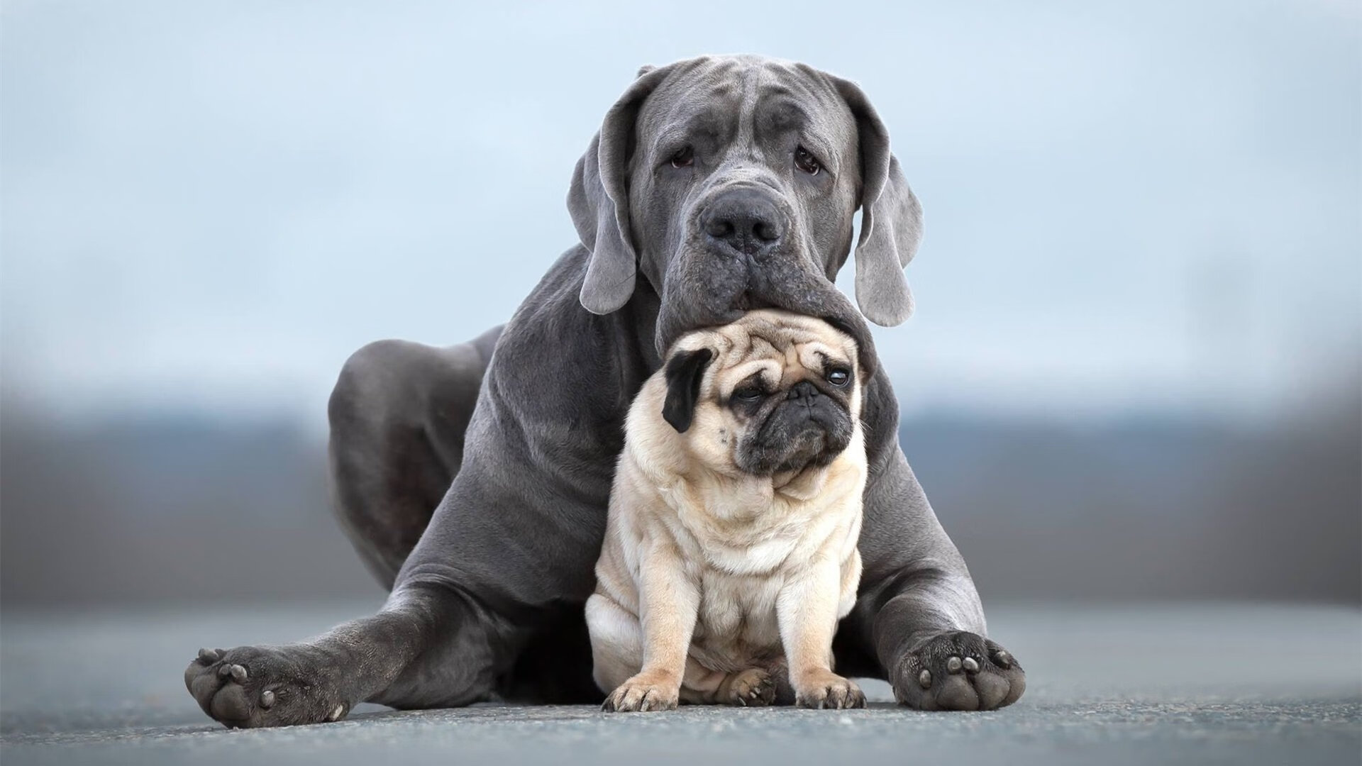 爵士稳健取胜魔术，锡安爆发接管排名争夺战