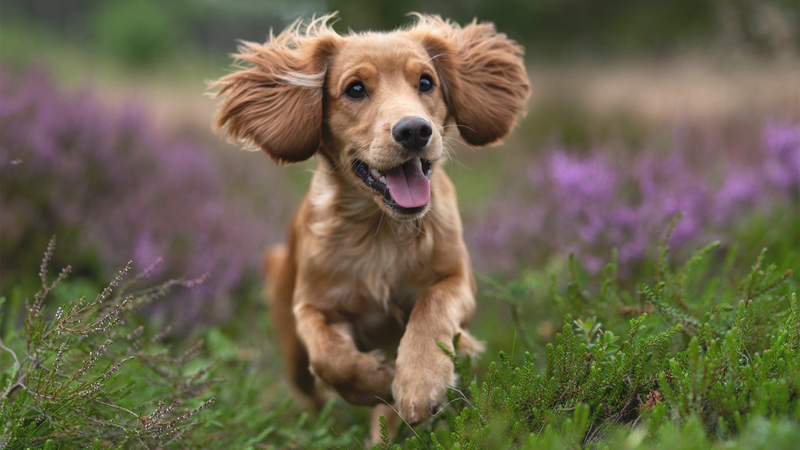 抢七之夜，当锡安撕碎年轻标签