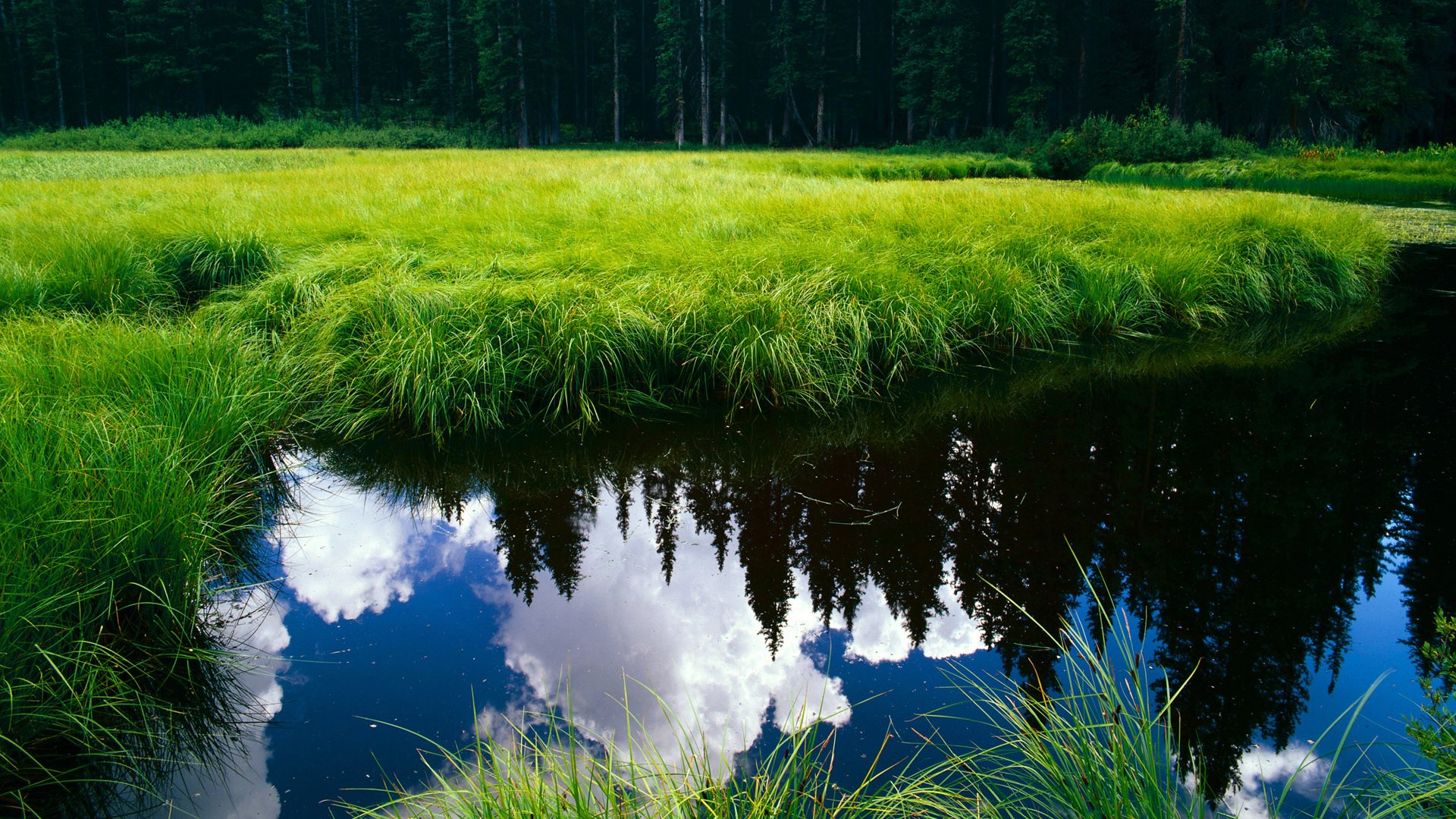 银剑出鞘，奥运关键战夜，莱奥突破极限刷新历史