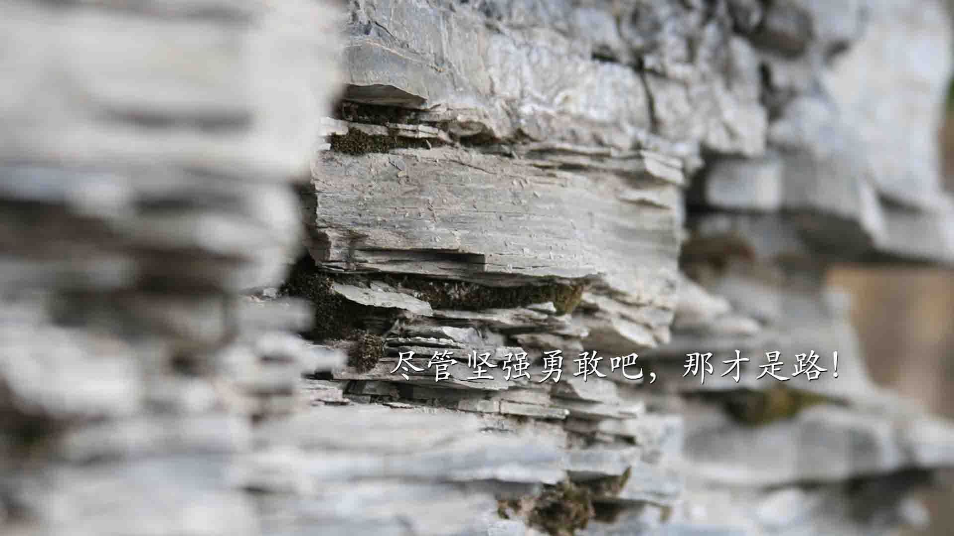 时空交错的王者对话，库里攻防封神夜与广厦跨洋征服记