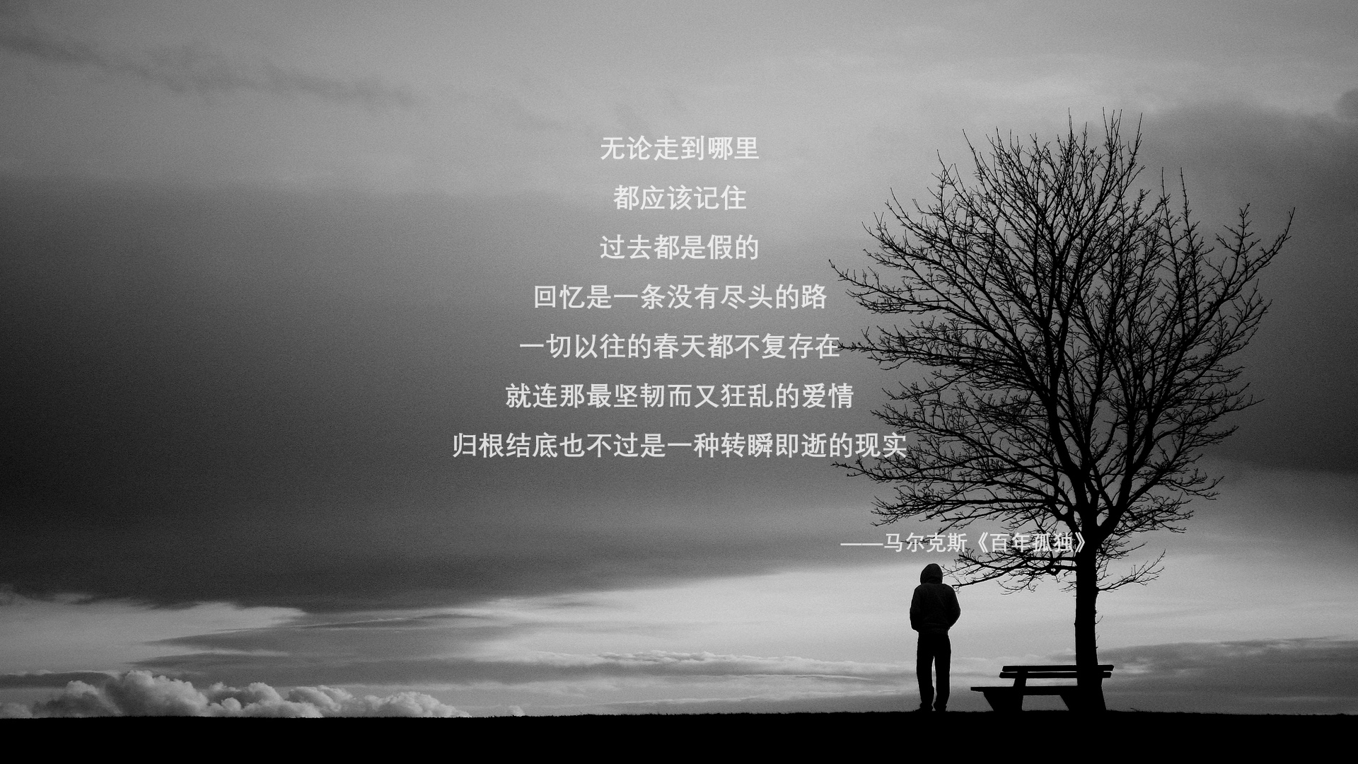 引擎轰鸣与绿茵狂奔,F1揭幕战之夜见证努涅斯的教科书级表演