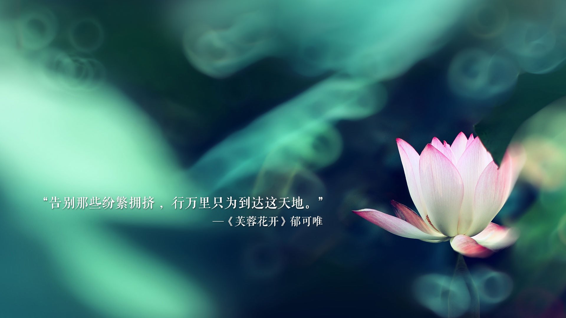 绿茵蓝调与南粤风暴，意甲焦点战镜像下的广东碾压战
