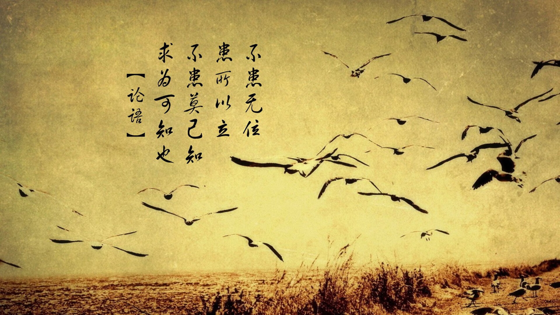 开云体育在线-魔幻的绿洲，京多安用德国大脑，为墨西哥书写世界杯最冷的逆袭