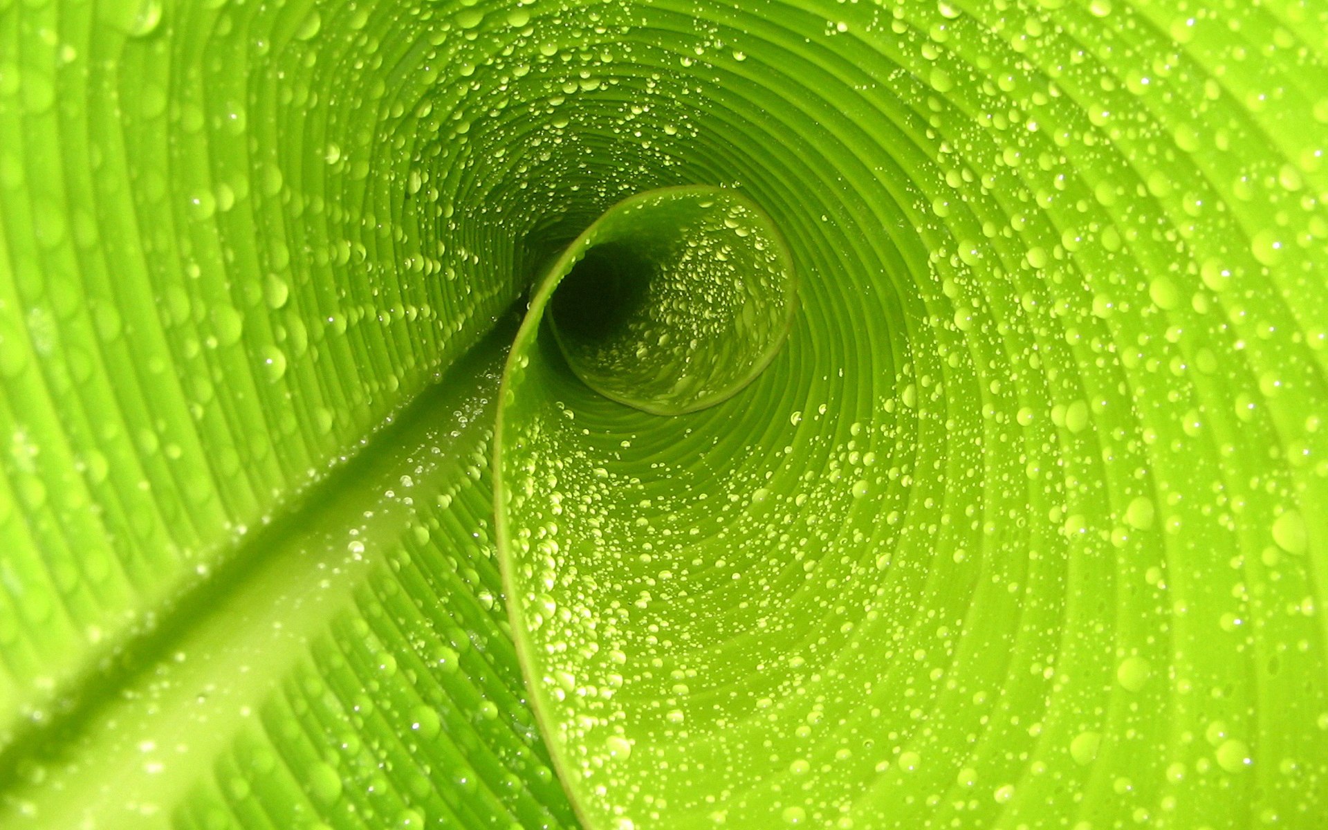 三戟叉折断日,高卢雄鸡泣血时,论2026世界杯G组那场名为唯一的悲壮序曲